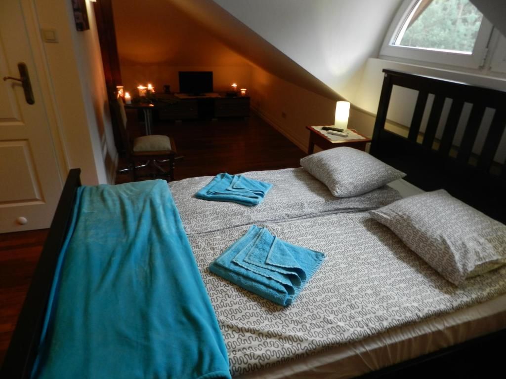 Отели типа «постель и завтрак» Pensjonat u Alexa Załuski-33
